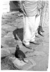 1956